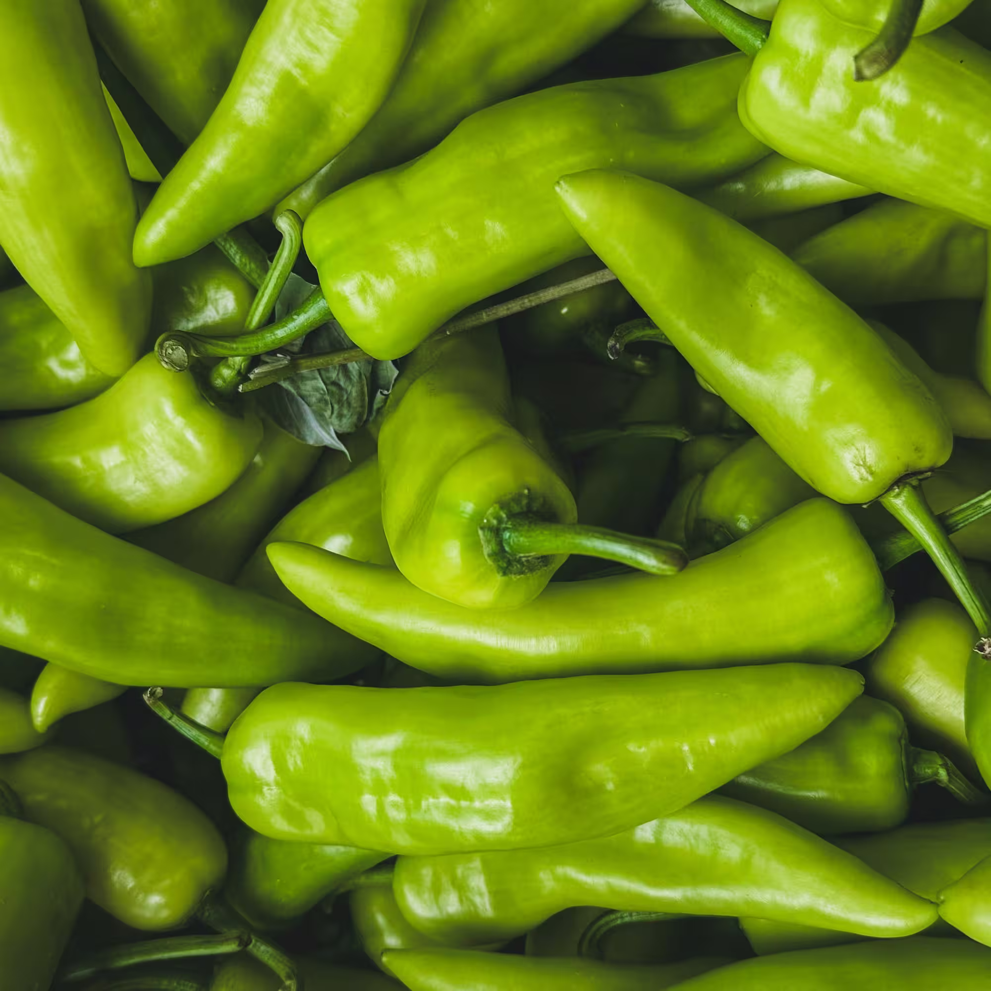 A fresh pile of densley packed green chili peppers, smooth and brightly colored.